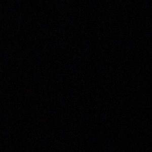 Meet your Posher, Ellie